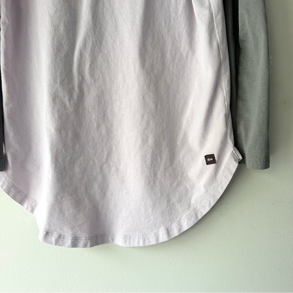 Tea Collection Bunny Rabbit Popsicle Raglan Shirt - Picture 5 of 5
